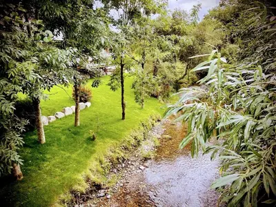 a stream in the middle of a field with trees at Ger Yr Afon in Saint Harmon