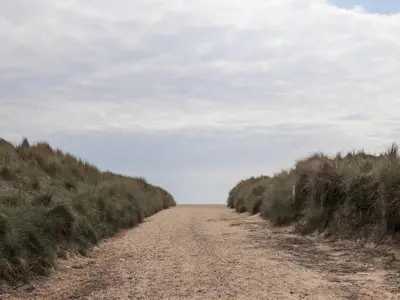 a dirt road in the middle of a field at Bryn Berthen in Penrhyndeudreath