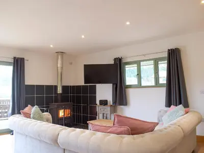 a living room with a couch and a tv at Red Kite Lodge - Uk32610 in Old Radnor