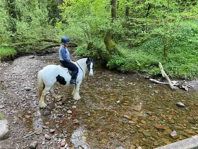 a person riding a horse through a creek at Oakies Farm Stays in Llandovery