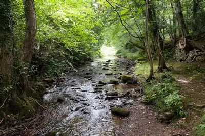 a stream of water with rocks in a forest at Luxury Cottage near Hay-on-Wye in Llanigon