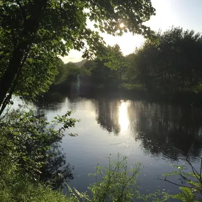 a view of a river with trees on the side at Tranquil getaway near Brecon Beacons in Llandovery