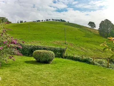 a green hill with a hedge in the grass at Tan Y Llidiart in Llangedwyn