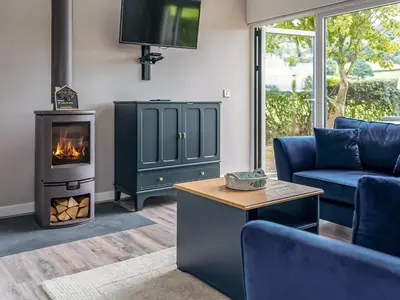 a living room with a couch and a fireplace at Cuckoo Lodge - Uk42541 in Winforton