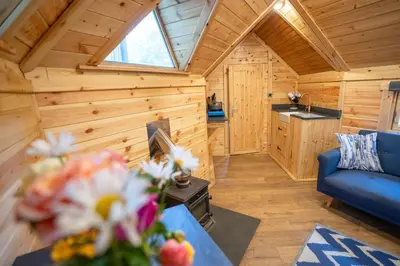 a living room with a blue couch in a log cabin at Chestnut Tree House with Hot tub & Sauna in Barmouth