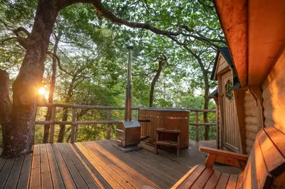 a porch of a cabin with a tv and a tree at Pine Tree House with Hot tub & Sauna in Barmouth