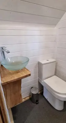 a bathroom with a sink and a toilet at Woodland Cabin with Private Hot Tub in Barmouth
