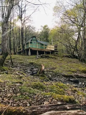 a green house in the middle of a forest at Tree Top Cabin with Private Hot Tub in Barmouth