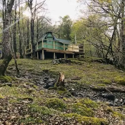 Tree Top Cabin with Private Hot Tub