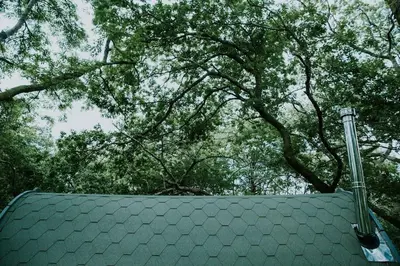 a roof of a house with trees in the background at Oak SPECIAL WINTER OFFERS - Hot tub in Barmouth