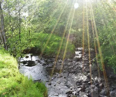a river with the sun shining through the trees at Quirky, Luxury Hideaway in Llanbrynmair