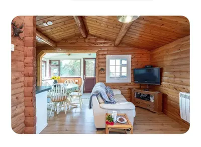 a living room with a couch and a tv in a cabin at Snowdonia Escapes # TRANQUIL CABIN with Views, Wi-Fi, Dog Friendly & Parking in Trawsfynydd