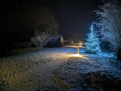 a christmas tree in a snowy yard at night at Odli Glamping - Aderyn in Welshpool