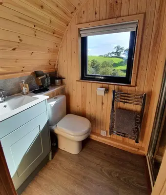 a bathroom with a toilet and a sink and a window at Odli Glamping - Aderyn in Welshpool
