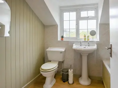 a bathroom with a toilet and a sink and a window at Dolwen Isaf in Llangadfan