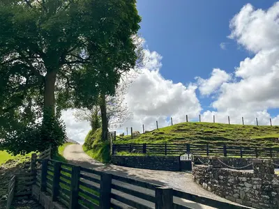 a fence next to a dirt road with a hill at Dolwen Isaf in Llangadfan