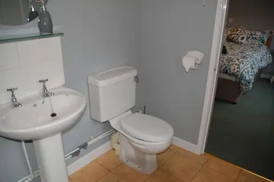 a bathroom with a white toilet and a sink at The Coach House at Copper Hall in Leominster