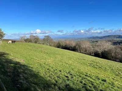 a green field with a horse grazing on a hill at Ramblers retreat in Shrewsbury