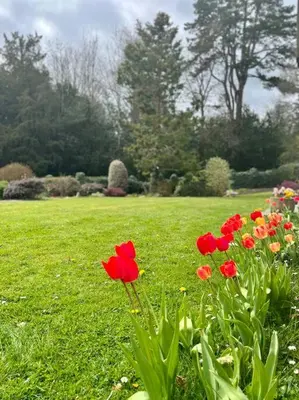 a group of red flowers in a green field at A spacious hidden gem with hot tub, lovely garden & views in Kington