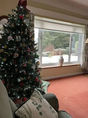 a christmas tree in a living room next to a window at A spacious hidden gem with hot tub, lovely garden & views in Kington