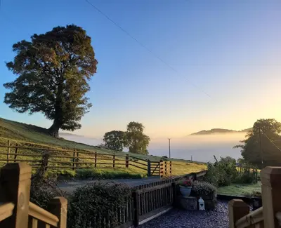 a tree on top of a hill with a fence at Kettle Tree Cabin in Welshpool