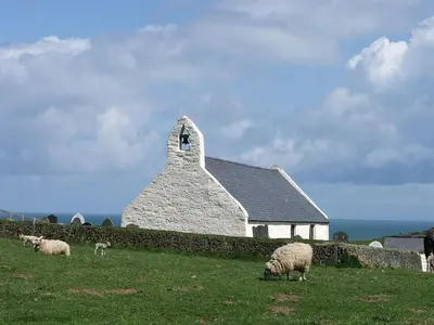 a group of sheep grazing in front of a church at Arwel in New Quay