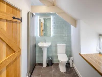 a bathroom with a toilet and a sink at Ivy Bush Cottage in Llanddewi-Brefi