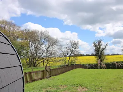 a field with a fence and a field of yellow flowers at Cherry Pod 2 in Shrewsbury