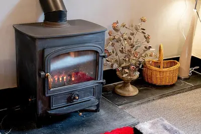 a black stove sitting in a living room with flowers at Pant in Llanymawddwy