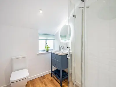a bathroom with a toilet and a sink and a mirror at Jackdaw Cottage in Knighton