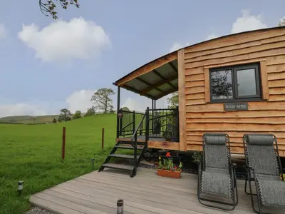 a tiny house with a porch and chairs on a deck at Wild Acre in Llangadog