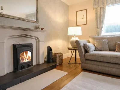 a living room with a fireplace and a couch at Tan Yr Allt in Welshpool