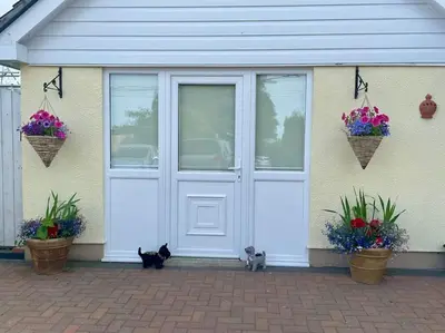 two cats sitting in front of a garage at Y Villa Môr in Llanarth