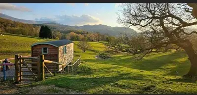 a small house in a field with a tree at Shepherds hut Lowri in Dolgellau
