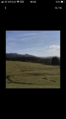 a screenshot of a picture of a field with animals at Shepherds hut Lowri in Dolgellau