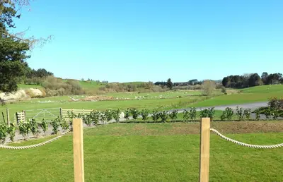 a fence in a field with sheep in the distance at Mayflower in Rhayader