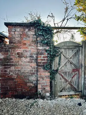 a brick wall with a wooden gate and ivy at Quaint Georgian house with Parking & Huge Garden 10 mins walk from town in Shrewsbury