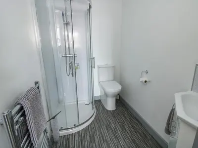 a bathroom with a shower and a toilet and a sink at Wesleyan House in Oswestry