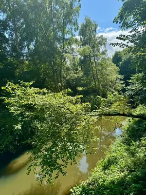 a view of a river in a forest with trees at Riverside Cabins in Shrewsbury
