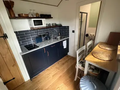 a small kitchen with a sink and a microwave at Romantic Shepherds Hut with Hot Tub in The Heart of Snowdonia in Dolgellau