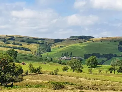 a green hillside with trees in a field at 3 Bed in Builth Wells oc-wal257 in Maesmynis