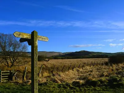 a wooden cross in the middle of a field at Gwynant in Ystrad Meurig